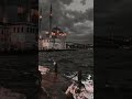بالكردي اذهبي وردة   نجومي