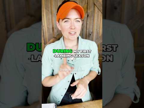 Selenium Deficient Sheep Lambing Sheep Farming For Beginners Tips For Breeding Sheep Dorper