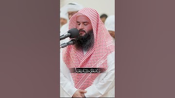 سورة القصص - القارئ عمر الرحال