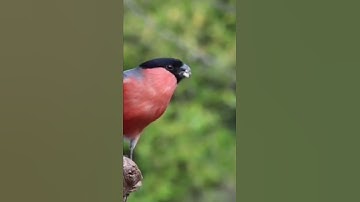 اذكار الصباح والمساء