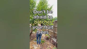 Fruit tree pruning: before and after #gardentips