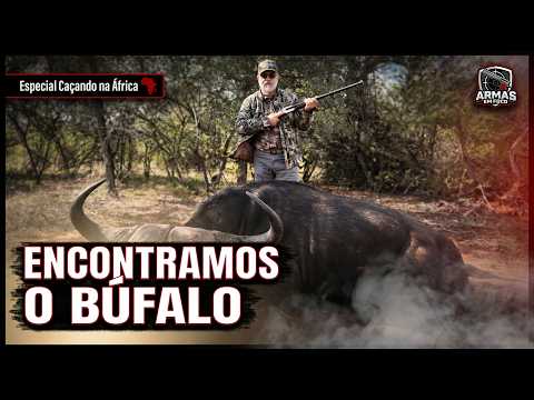 A Day Tracking Buffalo — From Trail to Takedown @crishuntbrasil