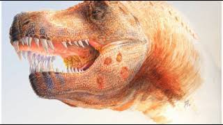Evolution of brachiopods | Wikipedia audio article