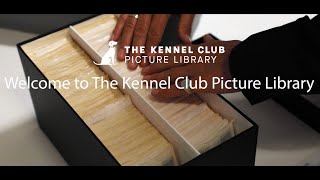 The Kennel Club Picture Library by The Kennel Club 250 views 2 years ago 41 seconds