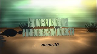 Карповая рыбалка в Николаевской области часть10