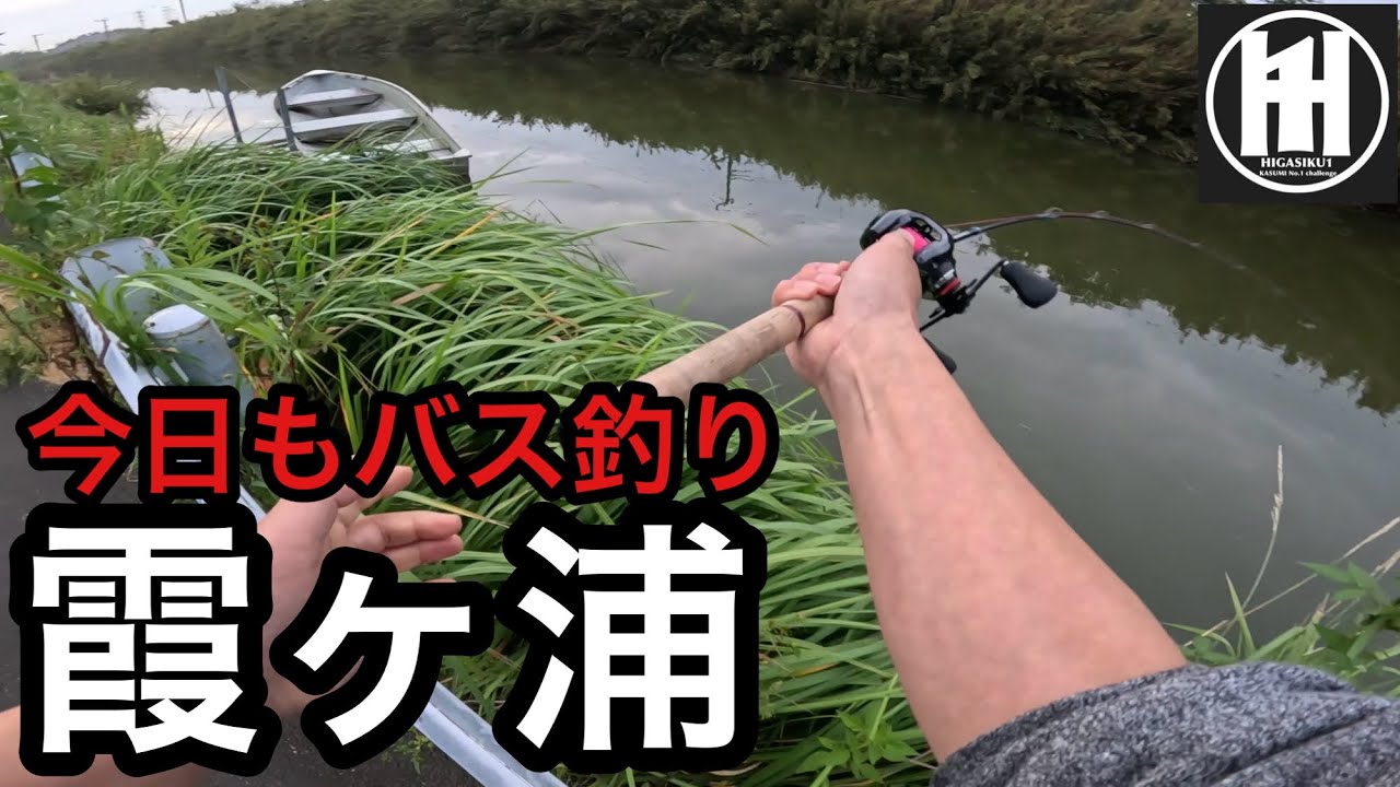 れんこんパパ YouTube