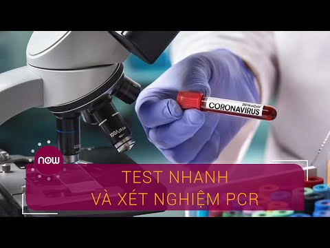 Covid-19: Test nhanh và xét nghiệm PCR khác nhau thế nào? | VTC Now