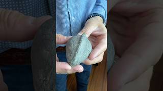 What does a paleontologist have in his collection? A steinkern that looks like something else! 🐢