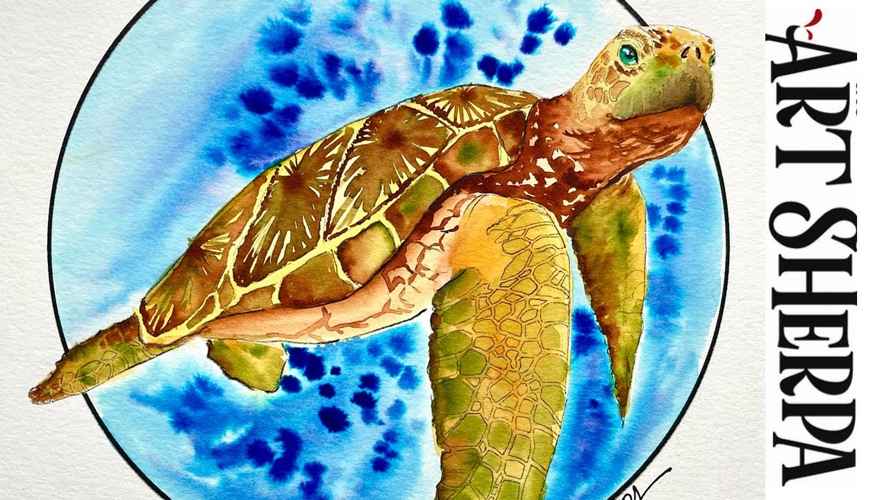 Turtle brush questions : r/turtle