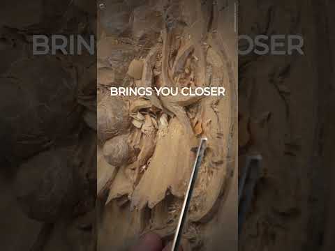 Mastering Wood Carving: