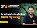 CSIR NET 2026 | Nerve Impulse Conduction in 1 Shot | Animal Physiology |  Bansal Academy