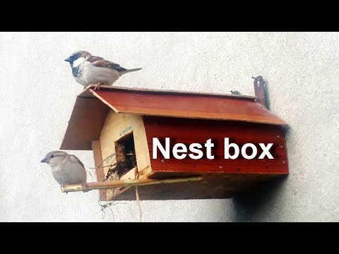 Birdhouse Idea- How To Make A Bird House At Home - Birds 