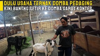 GREBEK KANDANG DOMBA GARUT KONTES | PDP JATI HURIP FARM