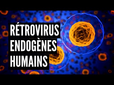 Vidéo: Un Rétrovirus Endogène Humain Codé Par Une Protéase Potentiellement Clive De Nombreuses Protéines Cellulaires