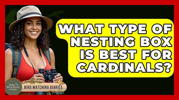 What Type Of Nesting Box Is Best For Cardinals? - Bird Watching Diaries