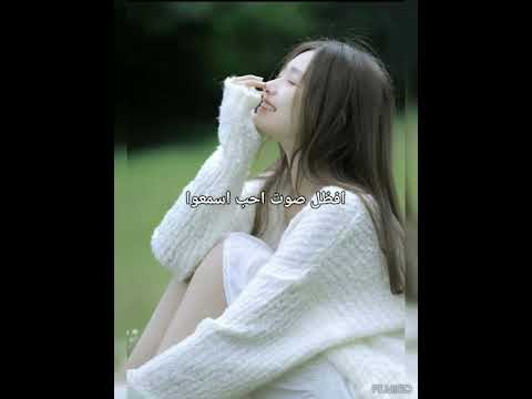 صوت المطر هادئ