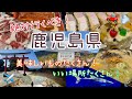 【おすすめ】女旅！鹿児島県を満喫してきた！インスタ映えも！参考動画◎