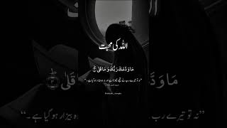 Allah Ki Muhabbat ❤️ | Islamic Reminder Status 19 June 2026 #quotes #viral #shorts