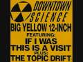 Downtown Science - If I Was