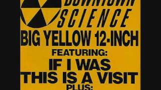 Downtown Science - If I Was