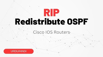 Redistributing OSPF Routes into RIP - Step-by-Step Configuration Guide | Urdu/Hindi
