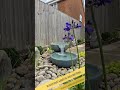 An entertainers garden for family and friends...