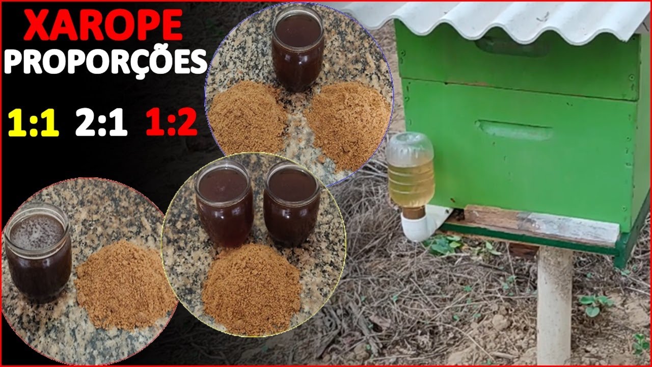 XAROPE E SUAS PROPORÇÕES NA ALIMENTAÇÃO DE ABELHAS