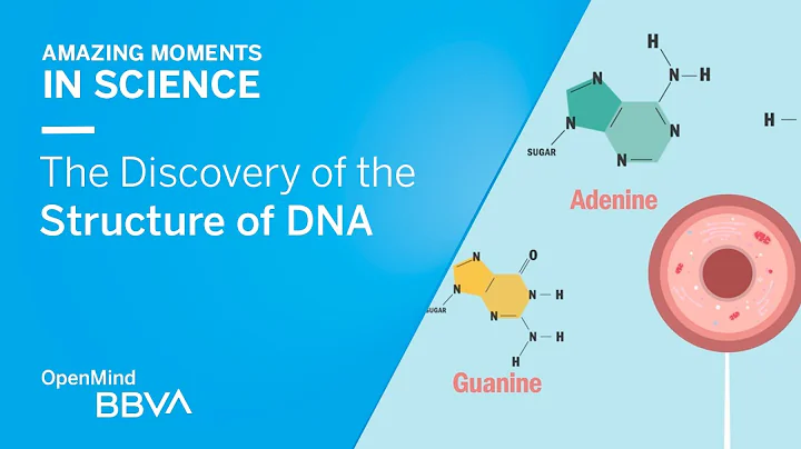 The Discovery of the Structure of DNA | AMS OpenMind