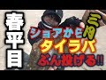 【ショアラバ】タイラバを投げてヒラメを狙ってみた！