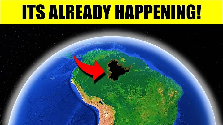 Do You Know What Is Hiding Under The Trees Of The Amazon Rainforest??..