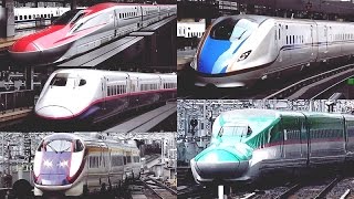 Bullet Train in Japan - JR East Shinkansen at Tokyo Terminal