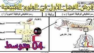 فرض الفصل الأول في العلوم الطبيعية السنة الرابعة متوسط2025