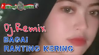 BAGAI RANTING KERING‼️Dj.Remix