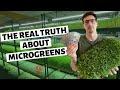 The REAL TRUTH About Growing Microgreens For Profit