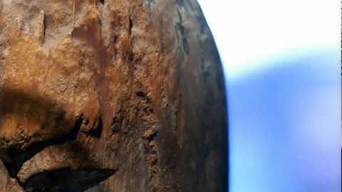 New Plasma Animation