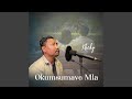 Okumsumave Mla