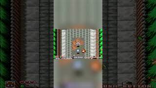 Pocky&amp;Rocky - stage 1 [SNES]