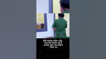 Bắt Băng Trộm Chuyên Nghiệp Hoành Hành Ở Công Viên Gia Định, Tầm Vu – Cảnh Báo Người Dân!