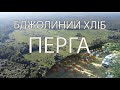 [VLOG] ➤ ПЕРГА | Збираємо пергу ➤ Пасіка | Нове Місце | Міняю Маток