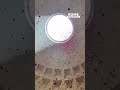 El día que llueven pétalos de rosa en el templo más antiguo de la Roma Clásica