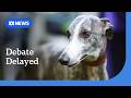 Tasmanian government tries to avert parliamentary defeat of greyhound racing ban | ABC NEWS