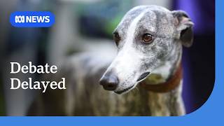 Tasmanian government tries to avert parliamentary defeat of greyhound racing ban | ABC NEWS