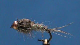 Beginner Fly Tying a Sparkle Rib Beadhead Hare's Ear with Jim Misiura