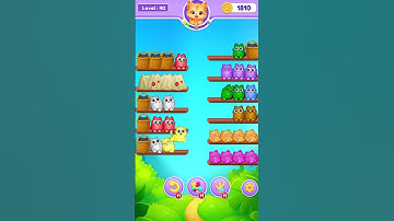 Kitty Sort | Level 40