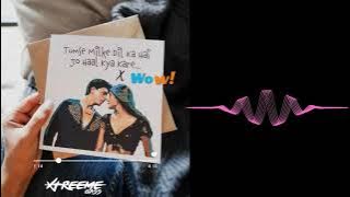 Tumse Milke Dilka Hai Jo Haal X Wow | DJ Xtreemebass  mix |