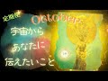 【宇宙定期便】10月は癒し癒されるのかな?ヒーラーさんへメッセージ💖⭕️番さんはレムリアメッセージありました✨また長くて💦ごめんね🙇♀️