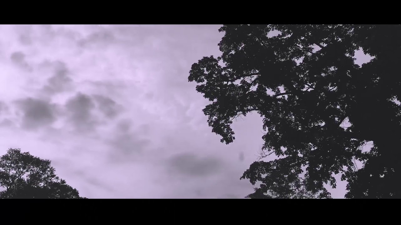 Uluppuni,  Vagamon,  Kerala | adventure trip | Jeep Safari