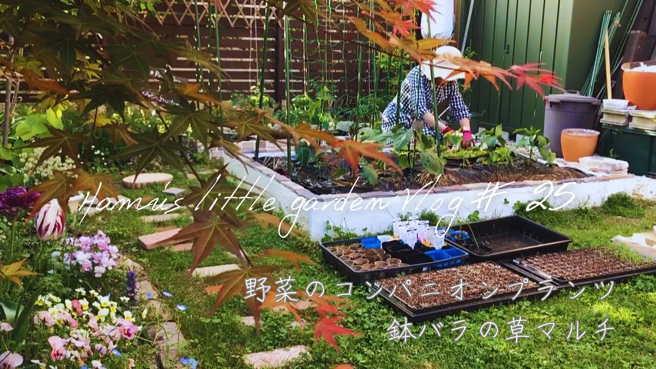 家庭菜園 ハウス 植物 発芽 栄養メーター 畑 食物 ガーデニング 菜園 家庭菜園 ハウス 植物 発芽 栄養メーター 畑 食物 ガーデニング 菜園