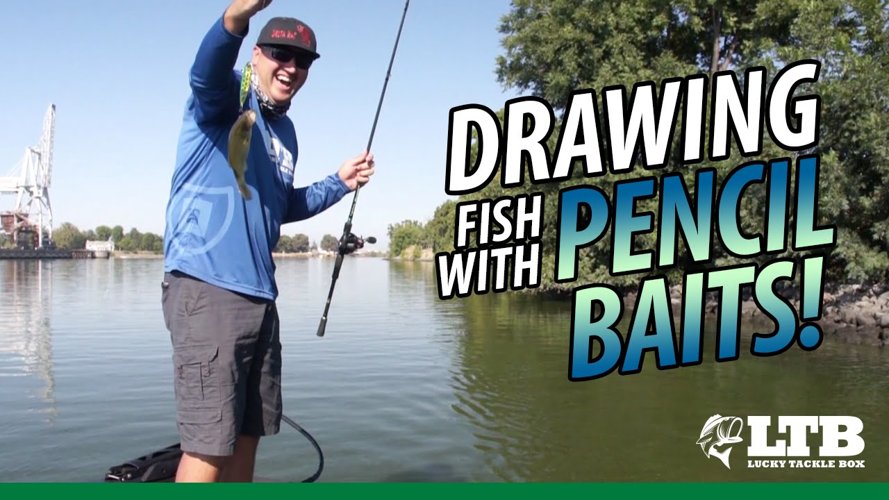 Drawing in Fish with a Pencil Bait