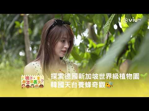 《孩子，你怎樣長大？》探索德國新加坡世界級植物園 🌱韓國天台養蜂奇觀🐝